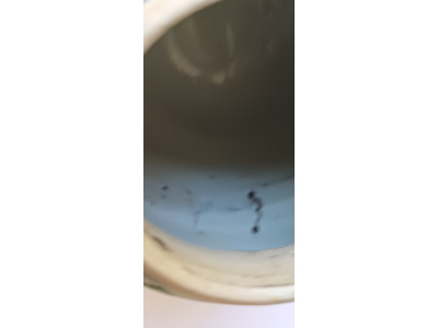 20250303_101807