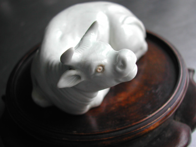 OSA/Hirado Bull/DSCN2570