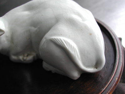 OSA/Hirado Bull/DSCN2575
