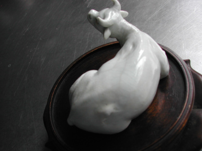 OSA/Hirado Bull/DSCN2577