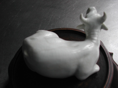 OSA/Hirado Bull/DSCN2578