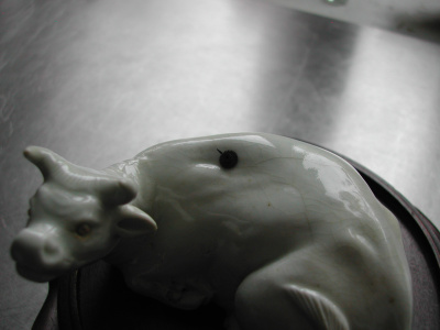 OSA/Hirado Bull/DSCN2585