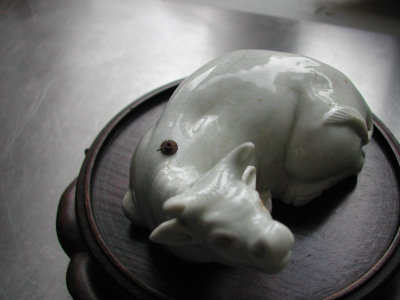 OSA/Hirado Bull/DSCN2586