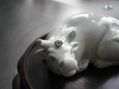 OSA/Hirado Bull/DSCN2587