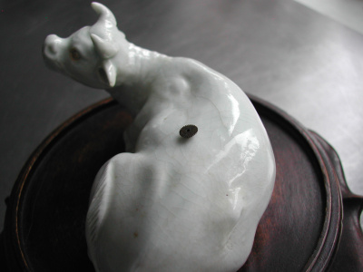 OSA/Hirado Bull/DSCN2588