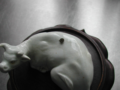 OSA/Hirado Bull/DSCN2589