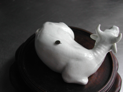 OSA/Hirado Bull/DSCN2591