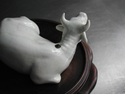 OSA/Hirado Bull/DSCN2592
