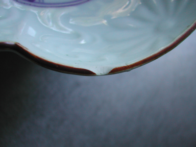 OSA/Japanese parrot bowl/DSCN0866