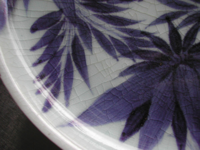 OSA/Japanese shallow dish/DSCN2902