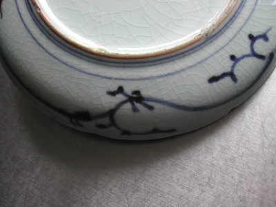 OSA/Japanese shallow dish/DSCN2907
