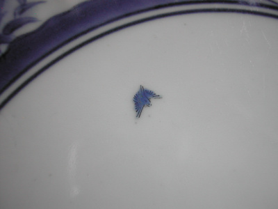 OSA/OSA1144/DSCN6076
