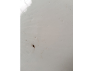 OSA/OSA1166/20210829 121831