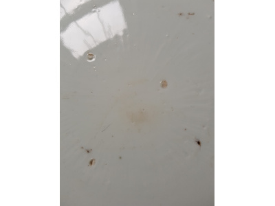 OSA/OSA1166/20210829 121834