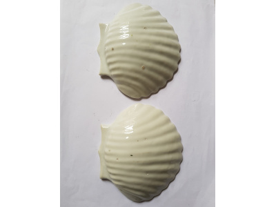 OSA/OSA1232/20220408 114108