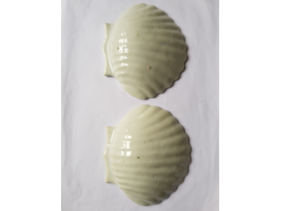 OSA/OSA1232/20220408 114118