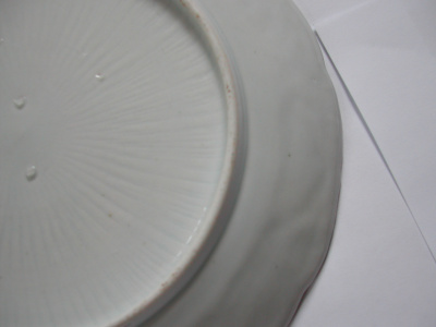 OSA/OSA952/DSCN2325